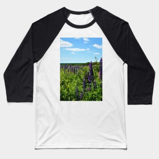 Lupins in the wild P.E.I. Baseball T-Shirt